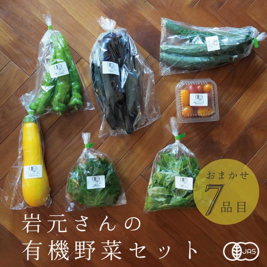 野菜セット 有機 詰め合わせ 7品目 兵庫県産  産地直送 クール便 国産 農家直送 有機野菜セット｜akol2｜02