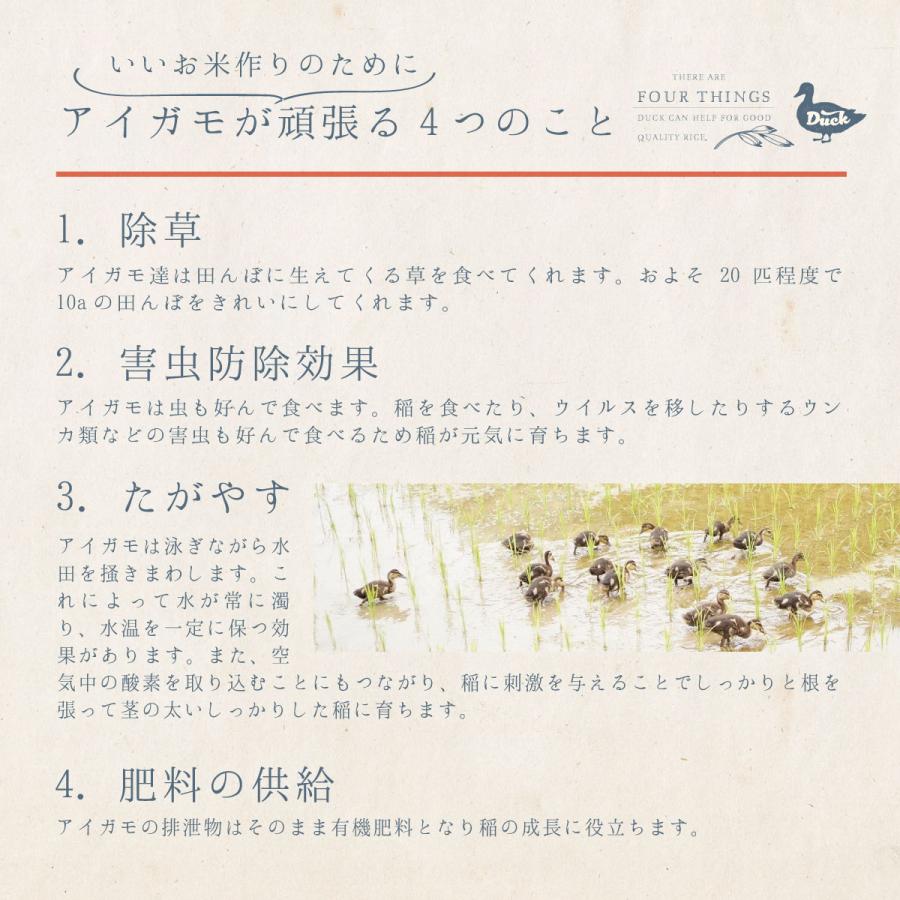 米 5kg コシヒカリ アイガモ米 有機米 玄米5kg 玄米 うるち米 有機JAS認定 農薬や化学肥料を一切使わない農法 兵庫県産 贈答 ギフト 合鴨農法 アイガモ農法｜akol2｜05