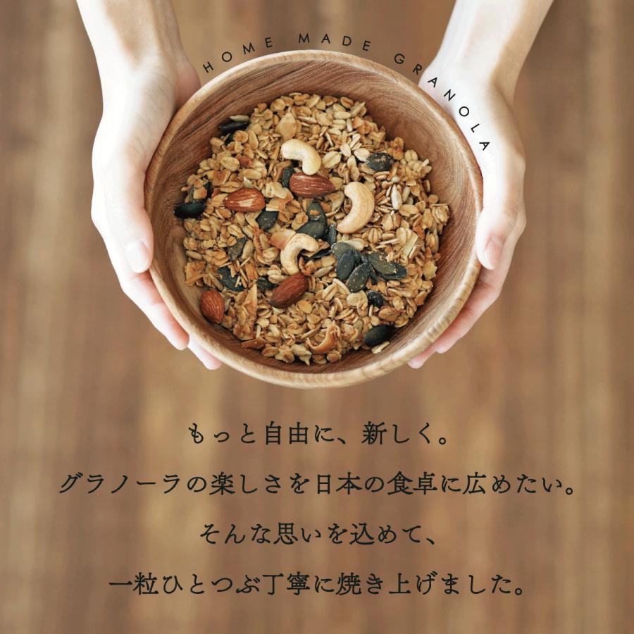 グラノーラ 200g 3袋 白砂糖不使用 香料不使用 オーツ麦 ソルティー
