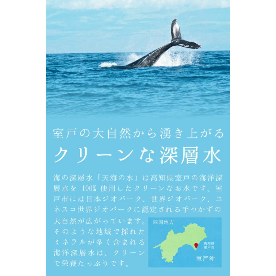 ミネラルウォーター 2 ミネラル2本、フィルターつき ミネラル2本、フィルターつき