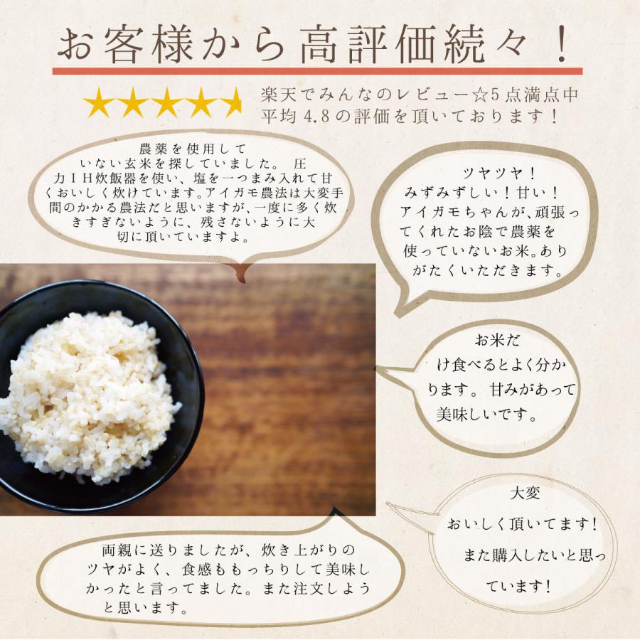 あいがも農法 玄米10kg 【公式通販】