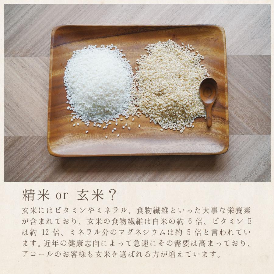 兵庫県産　コシヒカリ15キロ 合鴨農法で作りました 新米 5kg コシヒカリアイガモ米 精米5kg 精米 うるち米 お米 農薬や