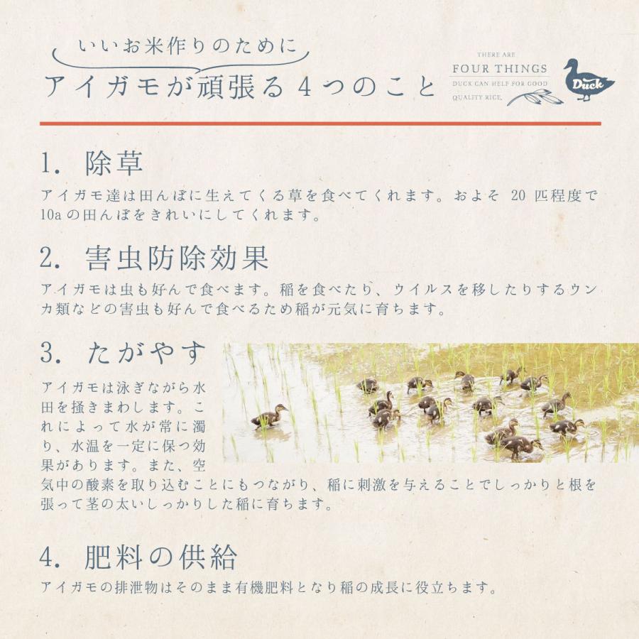 新米 5kg コシヒカリアイガモ米 精米5kg 精米 うるち米 お米 農薬や