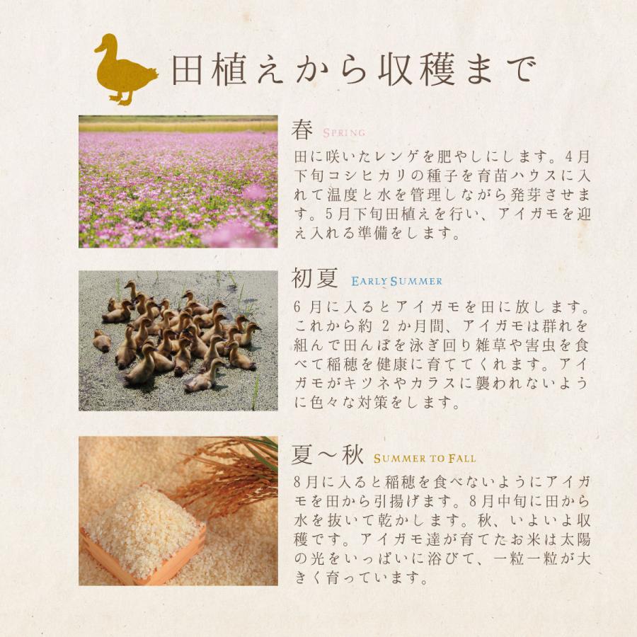 花むすめ 肥料 3310 花むすめ 肥料 Picture Downloadfjti