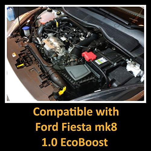 ブランド品専門 Blue-Ford Fiesta mk 8 1.0 Ecoboost用ラメアエアフィルター誘導吸気キット
