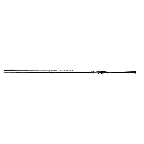 ダイワ Daiwa 船竿 極鋭タチウオ テンヤsp テンヤsp Ex Ags 192 Ags 釣り竿