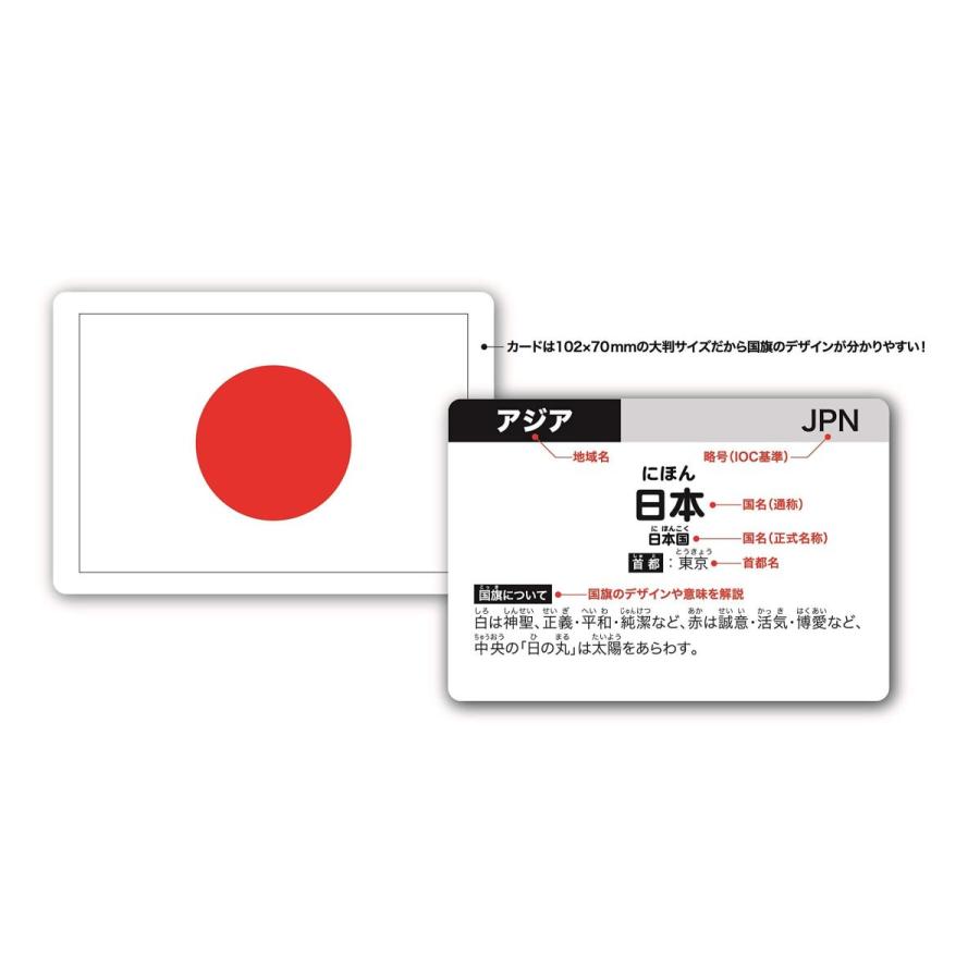 超人気 小学生向けその他 デラックス版 世界の国旗カード197 バラエティ