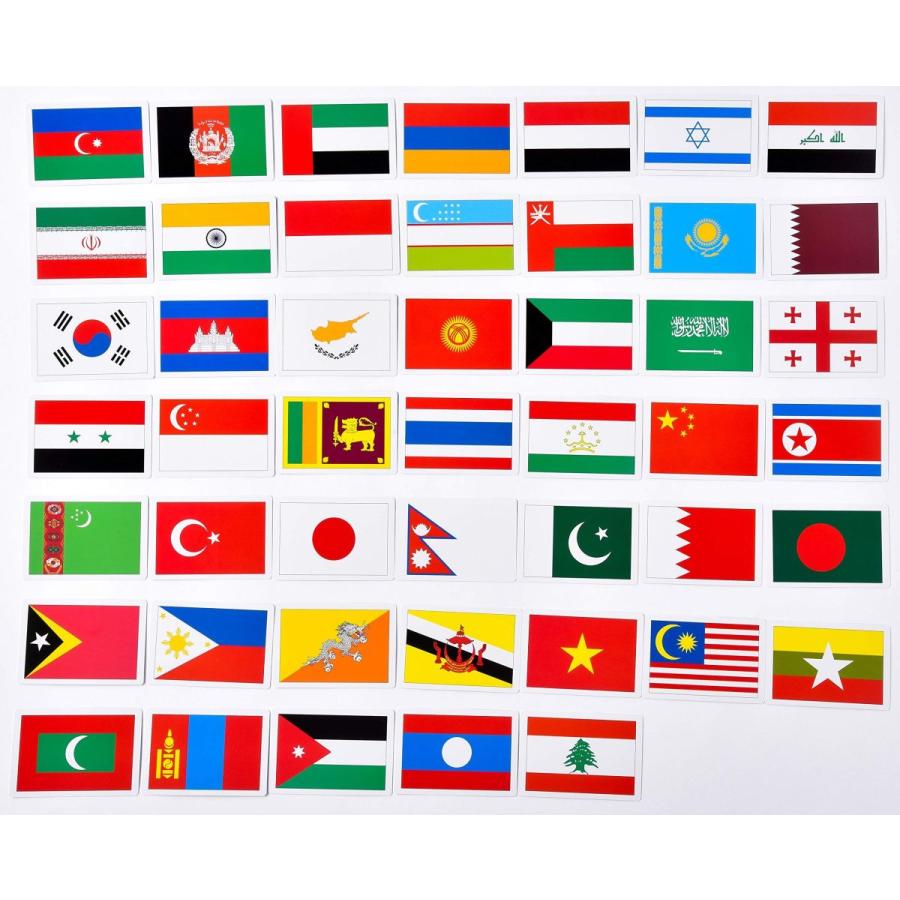 超人気 小学生向けその他 デラックス版 世界の国旗カード197 バラエティ