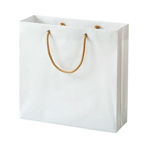 売れ筋介護用品も！ TANOSEE (まとめ) ビニールカバー付手提げ袋 (×3) 1パック(10枚) 白無地 ヨコ330×タテ320×マチ幅110mm S 紙袋