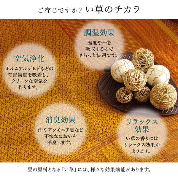 モダン い草 ラグマット/絨毯 (ネイビー 裏面不織布 約191×300cm) 日本 