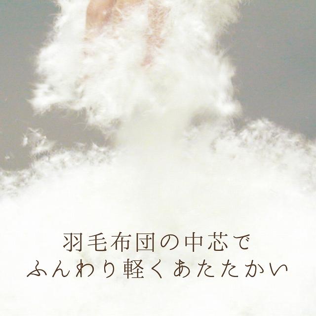 赤ちゃんの城 ベビーふとん セット 羽毛 洗える 70×120 ベビー布団