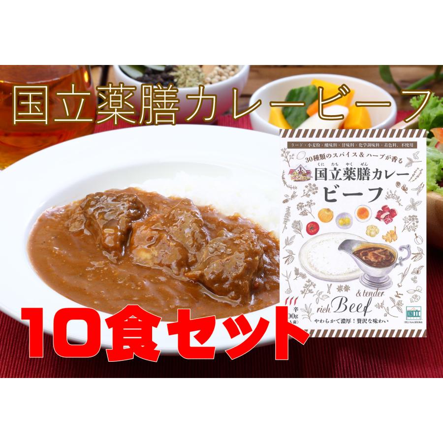 レトルト 「国立薬膳カレー ビーフ」 10食セット 中辛 ビーフ60g 牛肉 スパイス30種類 | ブランド登録なし