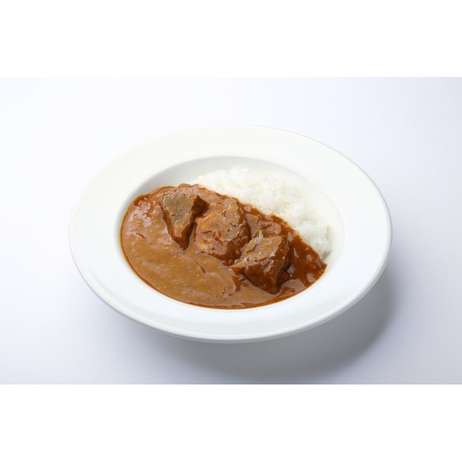 レトルト 「国立薬膳カレー ビーフ」 10食セット 中辛 ビーフ60g 牛肉 スパイス30種類 | ブランド登録なし | 03