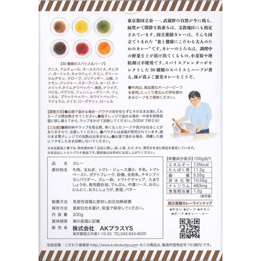 レトルト 「国立薬膳カレー ビーフ」 10食セット 中辛 ビーフ60g 牛肉 スパイス30種類 | ブランド登録なし | 05