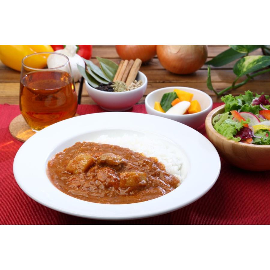 レトルト 「国立薬膳カレー チキン」10食セット 中辛 チキン 国産鶏肉 スパイス30種類 | ブランド登録なし | 03
