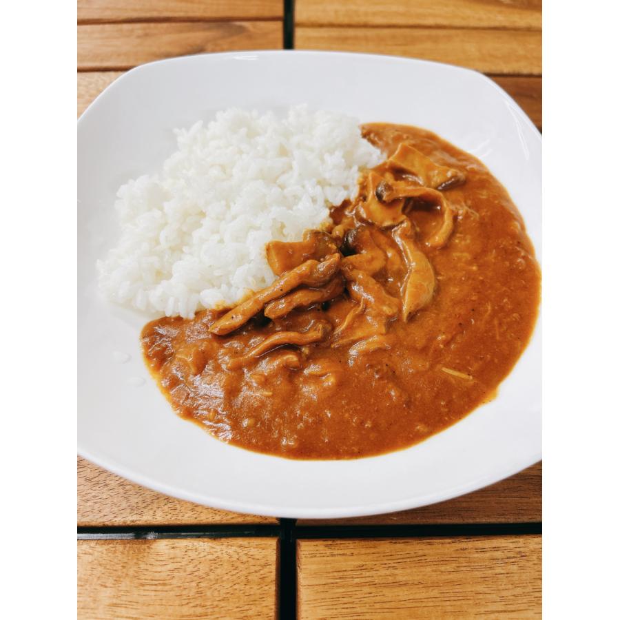 レトルト 「国立薬膳カレー きのこ」 5食セット きのこ 中辛 スパイス30種類 | ブランド登録なし | 01