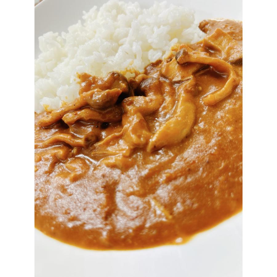 レトルト 「国立薬膳カレー きのこ」 20食セット きのこ 中辛 スパイス30種類 | ブランド登録なし | 02