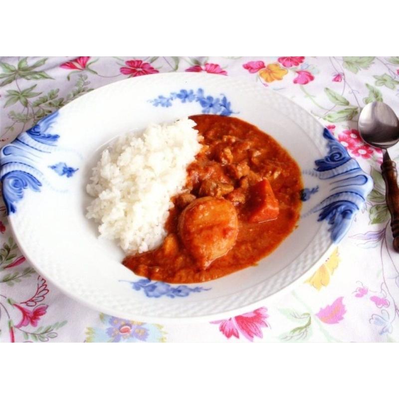 レトルト 国立薬膳カレー 中辛 ポーク 国産豚肉 スパイス30種類 | ブランド登録なし | 02