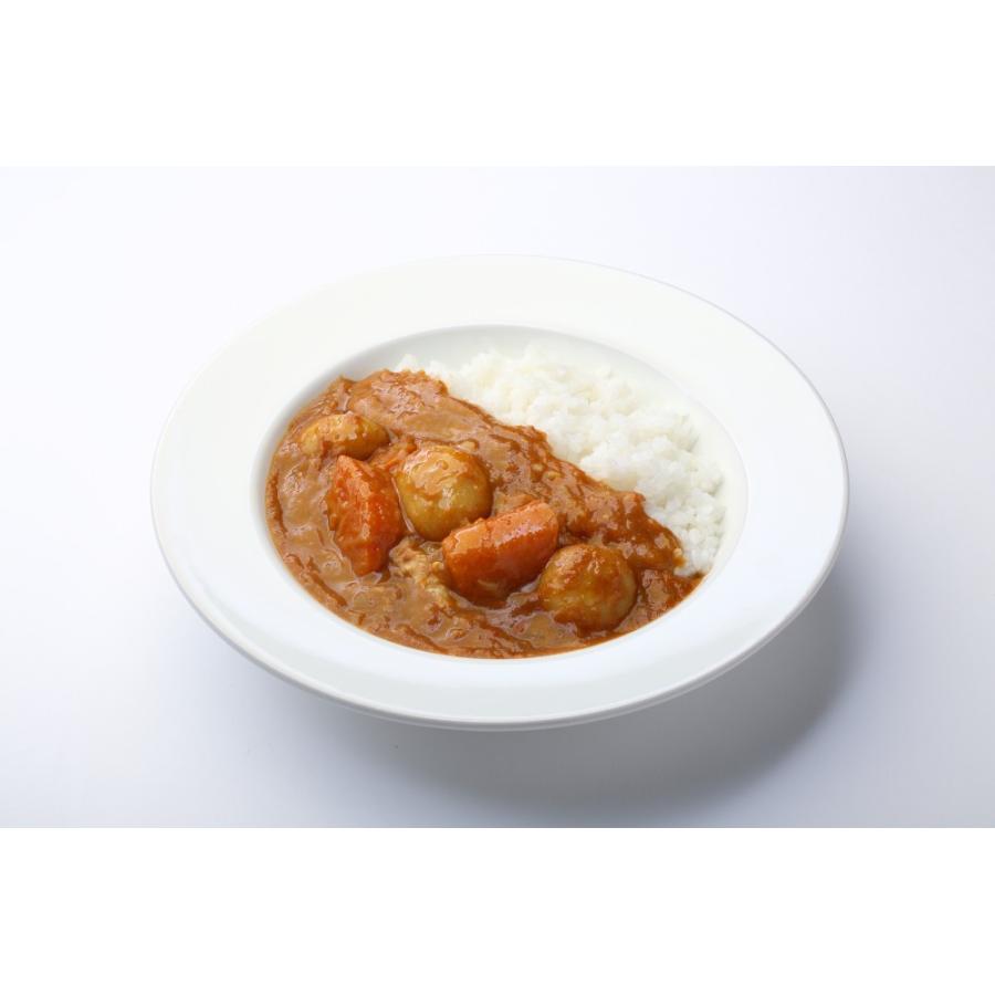 レトルト 国立薬膳カレー 中辛 ポーク 国産豚肉 スパイス30種類 | ブランド登録なし | 04