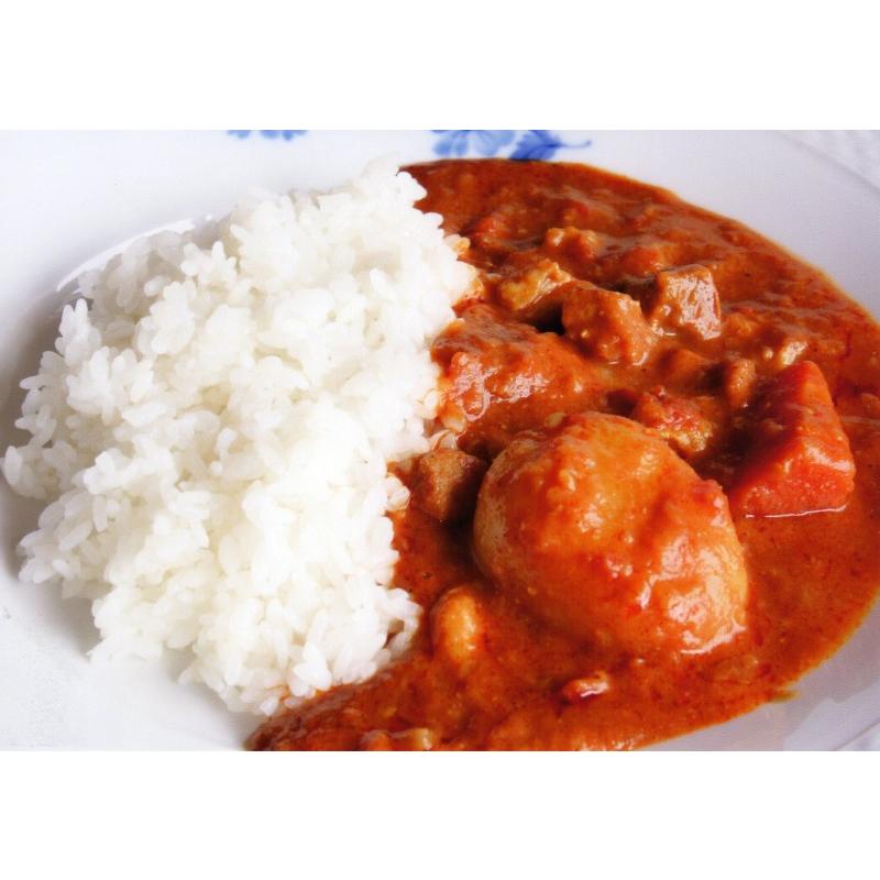 レトルト 「国立薬膳カレー ポーク」 5食セット 国産豚肉 中辛  30種スパイス使用 | ブランド登録なし | 01