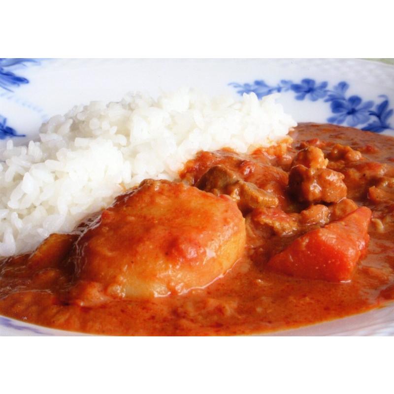 レトルト 「国立薬膳カレー ポーク」20食セット 国産豚肉 中辛 30種スパイス | ブランド登録なし | 03