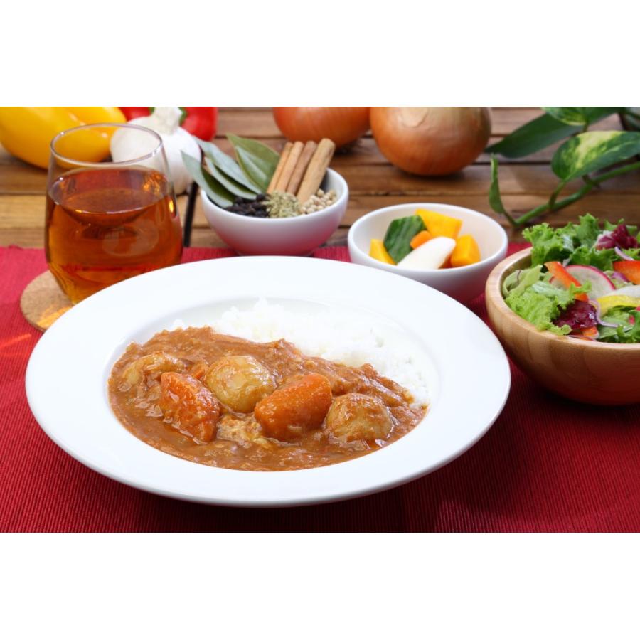 レトルト 「国立薬膳カレー ポーク」20食セット 国産豚肉 中辛 30種スパイス | ブランド登録なし | 05