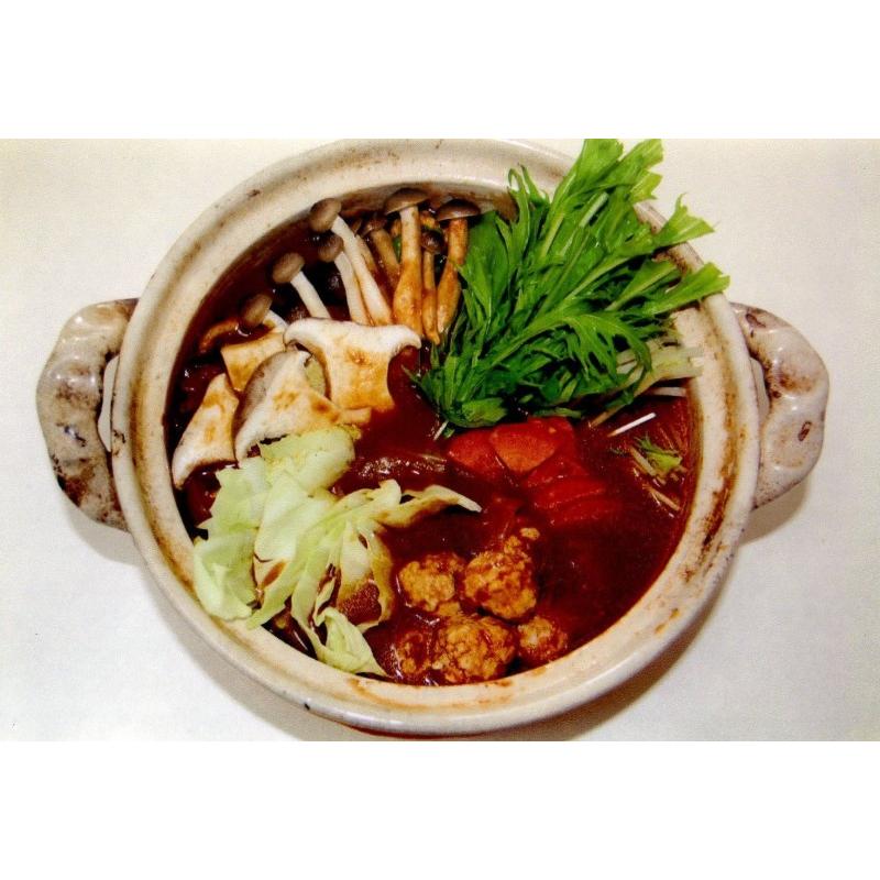 カレー 国立薬膳カレー 液状ルー 中辛 スパイス30種類　 | ブランド登録なし | 02