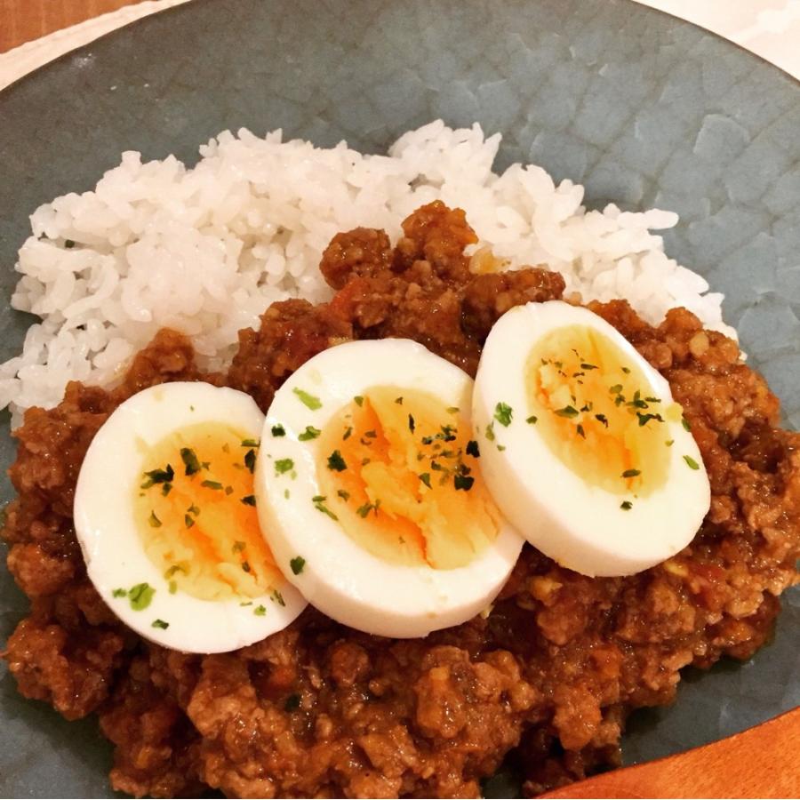 カレー 国立薬膳カレー 液状ルー 中辛 スパイス30種類　 | ブランド登録なし | 03