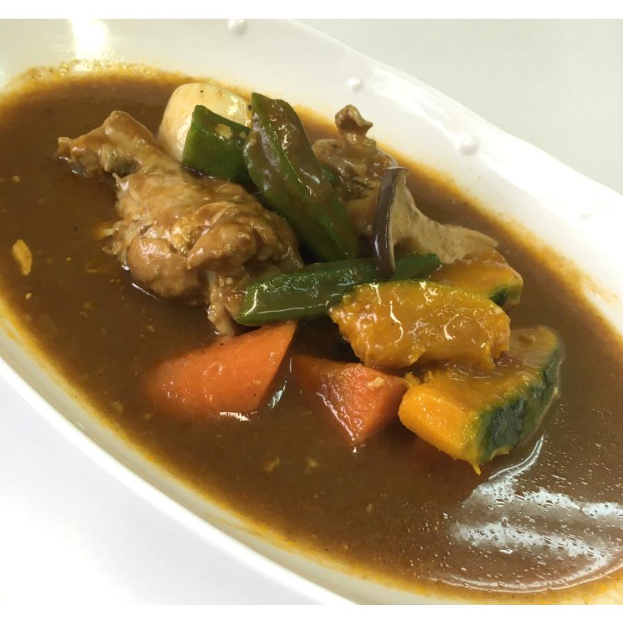 カレー 国立薬膳カレー 液状ルー 中辛 スパイス30種類　 | ブランド登録なし | 05