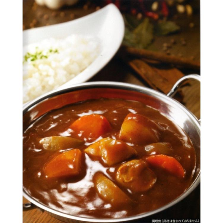 カレー 「国立薬膳カレー ルー」 5食セット 液状ルー 中辛 スパイス30種類　 | ブランド登録なし | 01