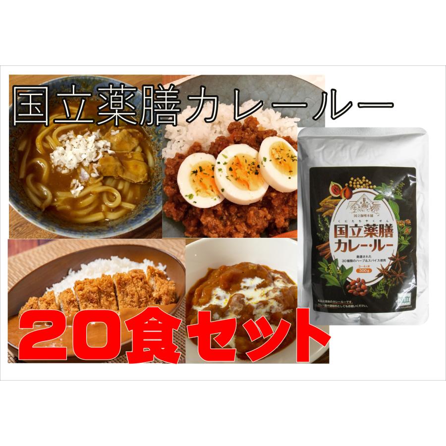 国立薬膳カレールー 20個セット