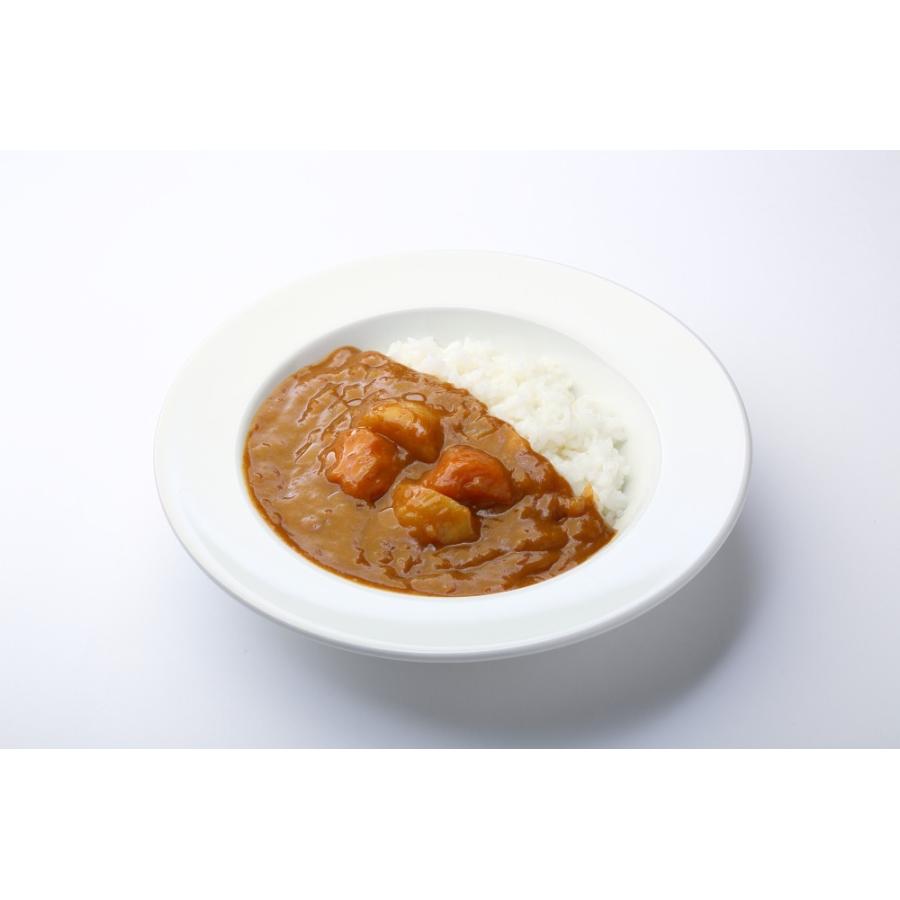 レトルト 「国立薬膳カレー やさい」辛口 野菜 ベジタブル スパイス30種類 | ブランド登録なし | 03