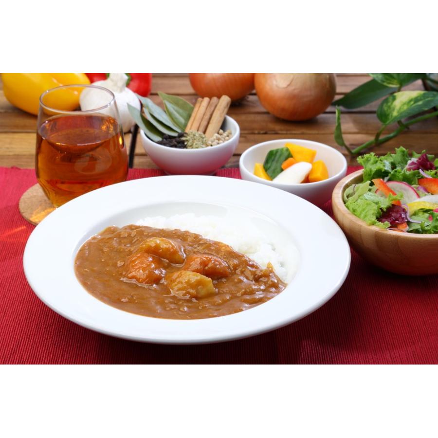 レトルト 「国立薬膳カレー やさい」辛口 野菜 ベジタブル スパイス30種類 | ブランド登録なし | 04