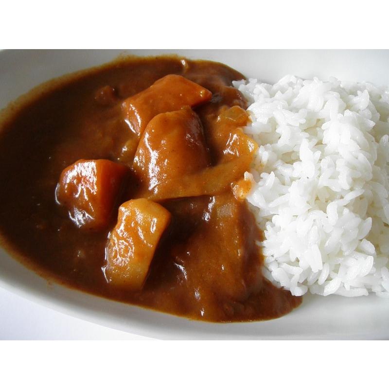 レトルト 「国立薬膳カレー やさい」 5食セット 辛口 野菜 ベジタブル スパイス30種類 | ブランド登録なし | 01