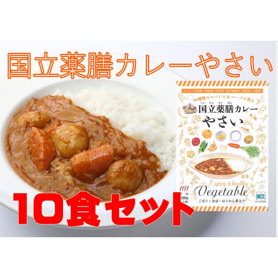 レトルト「国立薬膳カレー やさい」 10食セット 辛口 野菜 ベジタブル スパイス30種類 | ブランド登録なし