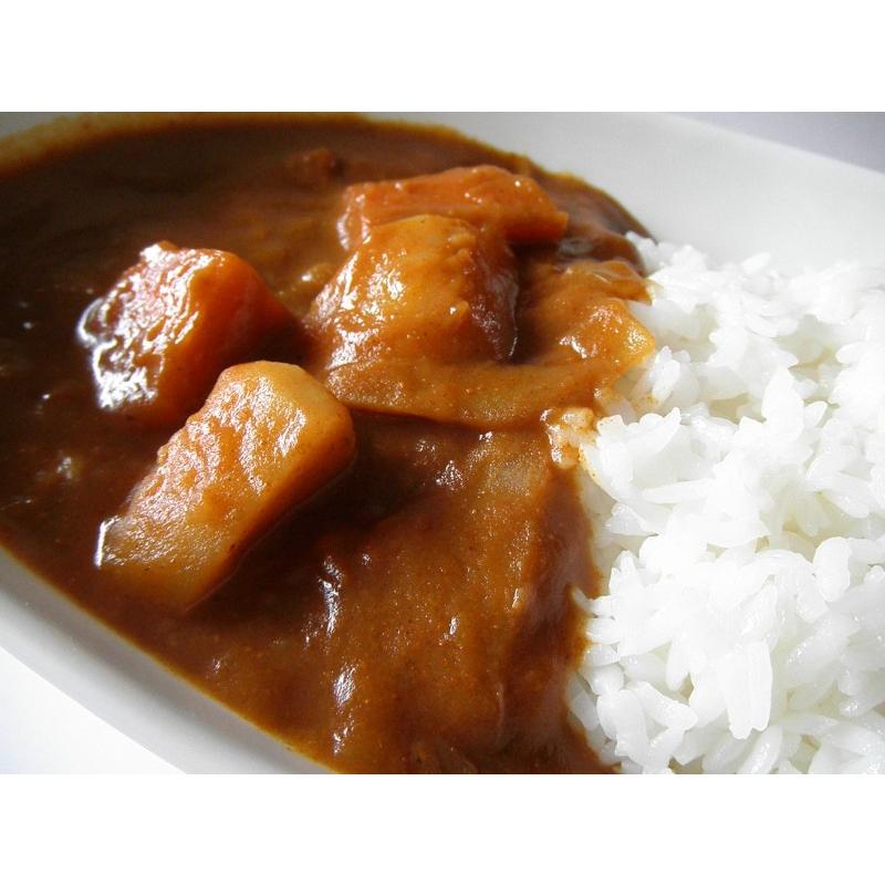 レトルト「国立薬膳カレー やさい」 10食セット 辛口 野菜 ベジタブル スパイス30種類 | ブランド登録なし | 02