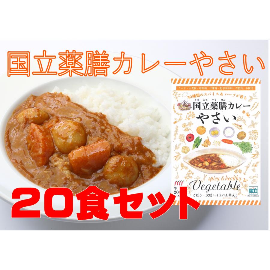レトルト 「国立薬膳カレー やさい」 20食セット 辛口 野菜 ベジタブル スパイス30種類 | ブランド登録なし