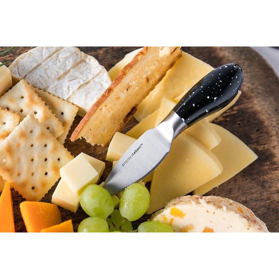 チーズナイフ 5点セット チーズカッター チーズフォーク チーズカット チーズスライス マグネットスタンド付 papayaLeben