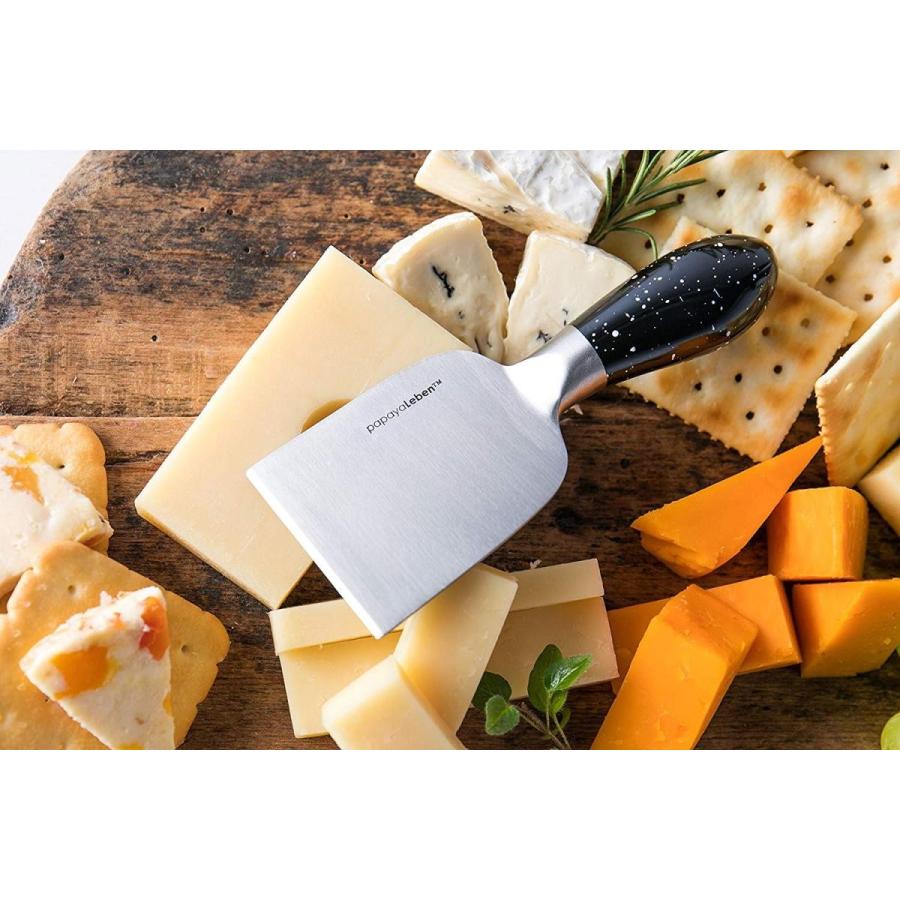 チーズナイフ 5点セット チーズカッター チーズフォーク チーズカット チーズスライス マグネットスタンド付 papayaLeben