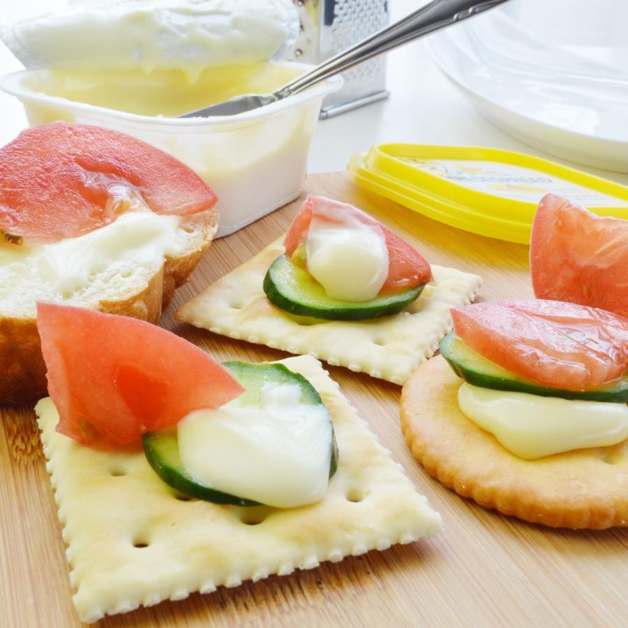 ぬるチーズ プロセススプレッド オランダ産チーズ チーズスプレッド ナチュラルチーズ 16個セット Cheesespread クール便発送 チーズ料理 3002012 Akt8 通販 Yahoo ショッピング