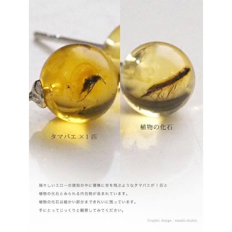 虫入り琥珀ピアス 送料無料 シルバー Silver925 コレクション 虫入り琥珀ピアス 送料無料 シルバー Silver925 コレクション