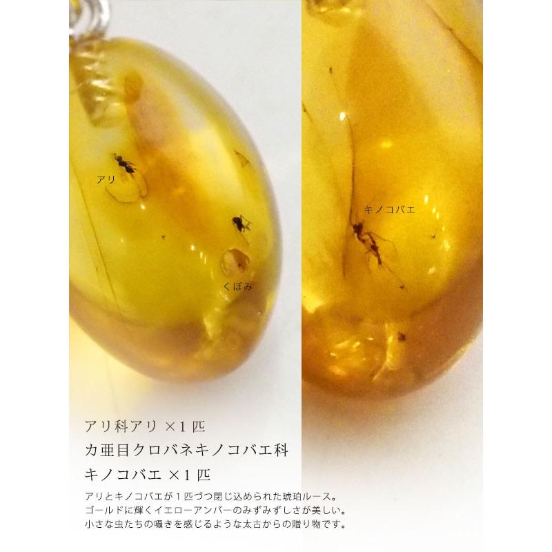 シルバー925 ピアス　琥珀　虫入り　8.22 g 虫入り琥珀ピアス 送料無料 シルバー Silver925 コレクション