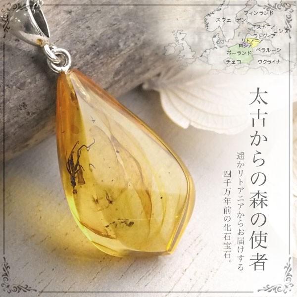 虫入り琥珀ネックレス 送料無料 シルバー Silver925 コレクション