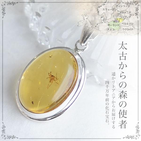 虫入り琥珀ネックレス 送料無料 シルバー Silver925 コレクション