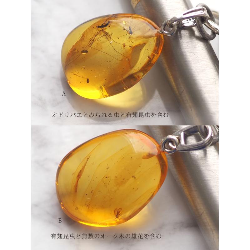 天然琥珀 1点もの虫入りこはくキーリング キーホルダー 送料無料