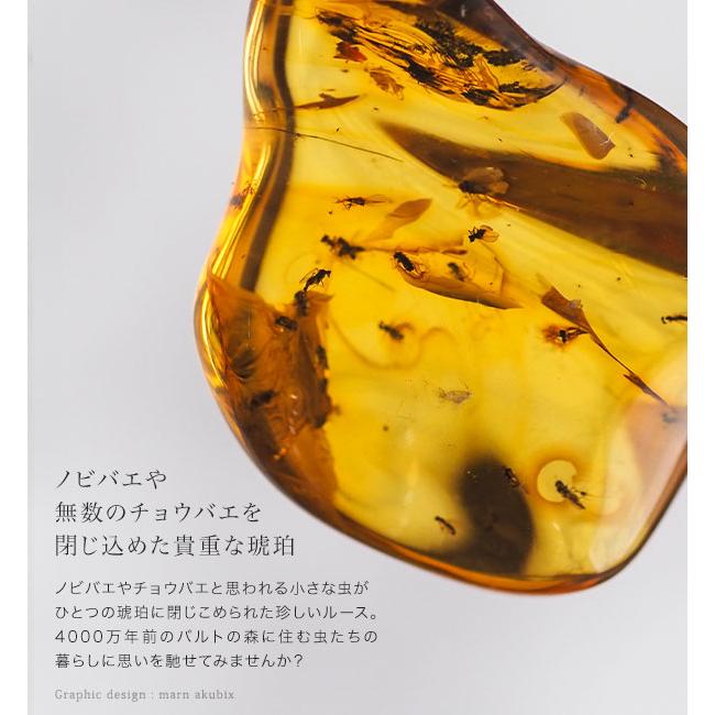 虫入り琥珀ネックレス 送料無料 シルバー Silver925 コレクション
