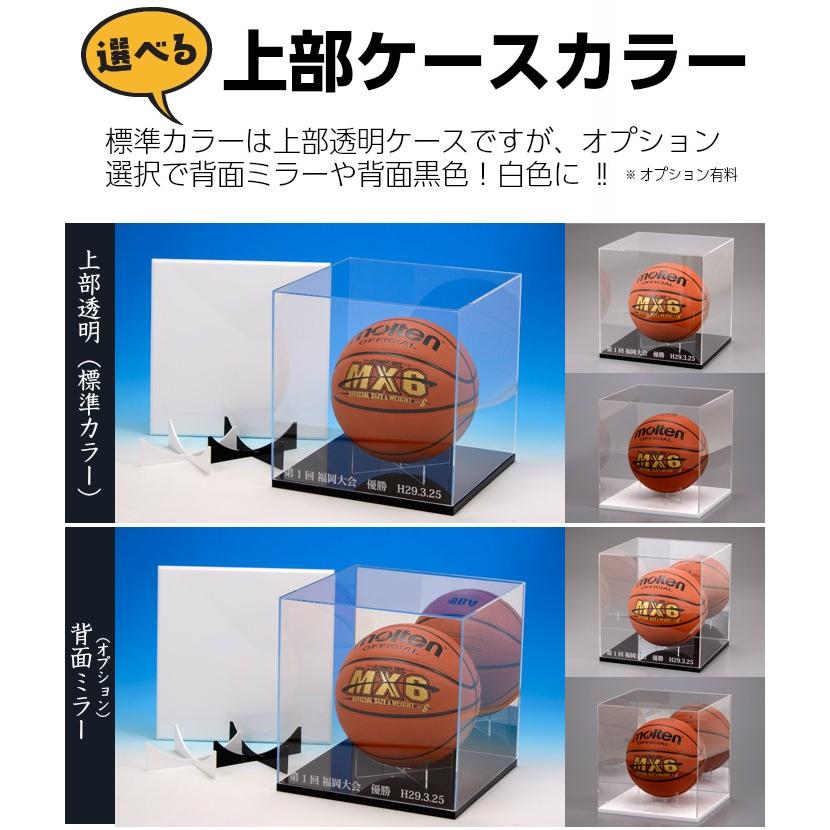 名入れ】バスケットボールケース 選べるボールスタンド付 W300mm