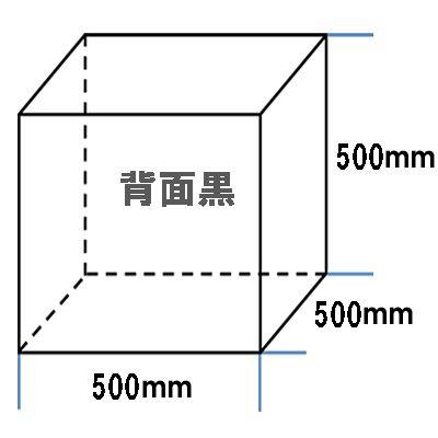 アクリルケース 透明 W500mm H500mm D500mm【台座なし】背面黒 コレクションケース ディスプレイケース フィギュアケース 50ｃｍ 50センチ