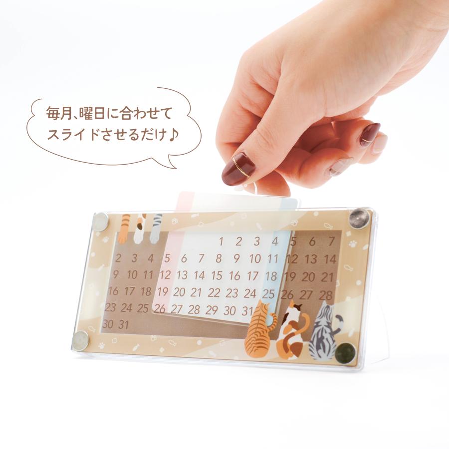 カレンダー 卓上 2025 万年 スライド式 猫 犬 おしゃれ 高品質 国産