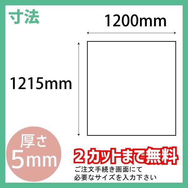透明アクリル板 5mm厚 1215mm 10mm 2カット無料 アクリル板 コロナ対策 飛沫感染予防 Acpod T5 0003 アクリル屋3 通販 Yahoo ショッピング